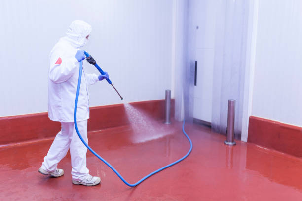 Best Paint Preparation  in Quincy, MI