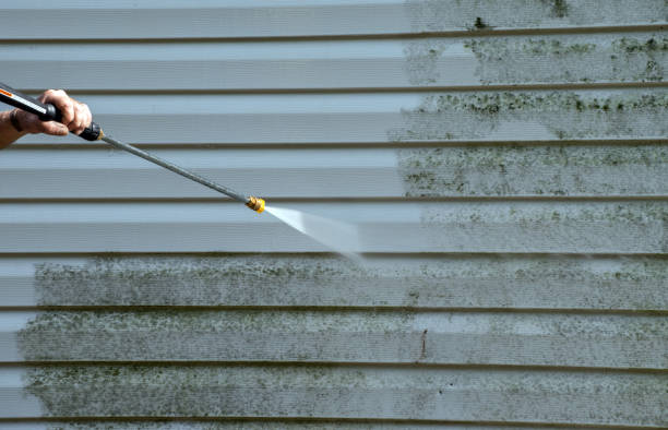 Best Dumpster Area Cleaning  in Quincy, MI